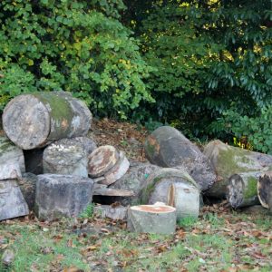 A la découverte de la Saboterie de Cornouaille