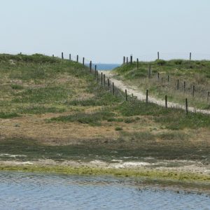 Douce déambulation à Trévignon